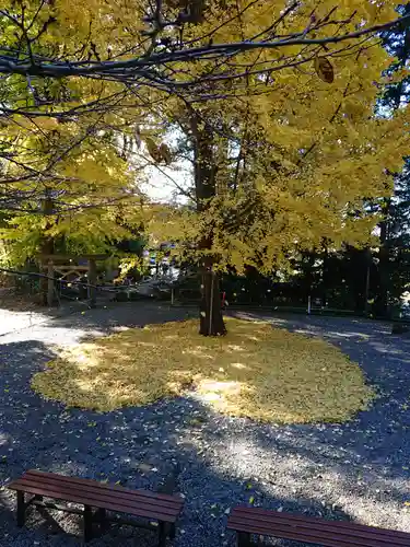 下野 星宮神社の庭園