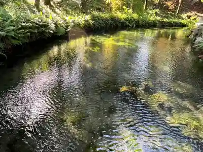 白川吉見神社(熊本県)