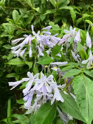 水堂須佐男神社(兵庫県)
