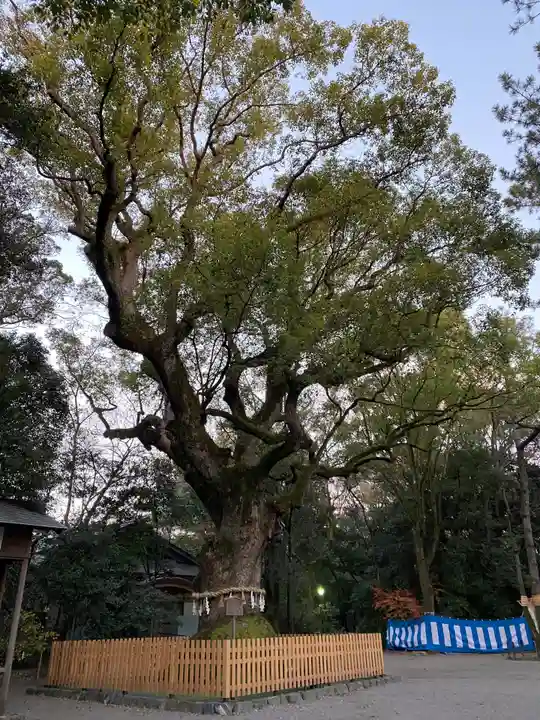 熱田神宮の自然