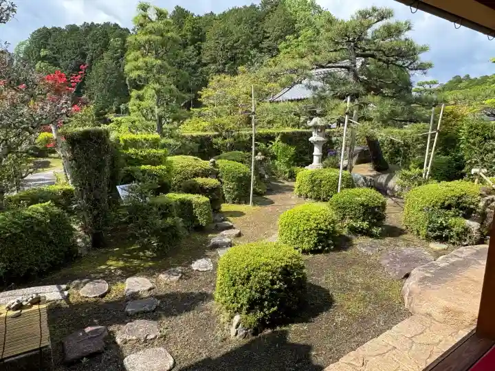 大池寺の{uncategorized: "未分類", other: "その他", undefined: "問題あり", building: "その他建物", grave: "お墓", sacred_gate: "鳥居", guardian: "狛犬", statue: "像", buddha: "仏像", history: "歴史", nature: "自然", garden: "庭園", animal: "動物", pagoda: "塔", temizu: "手水舎", mountain_gate: "山門・神門", sanctuary: "本殿・本堂", subordinate: "末社・摂社", art: "芸術", scenery: "景色", jizo: "地蔵", ema: "絵馬", goshuin: "御朱印", omikuji: "おみくじ", items: "授与品その他", amulet: "お守り", goshuincho: "御朱印帳", eats: "食事", festival: "お祭り", votive_dance: "神楽", shichigosan: "七五三参", wedding: "結婚式", experience: "体験その他", initially: "初詣", around: "周辺", anti_infection: "感染症対策"}