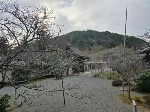 毘沙門堂門跡(京都府)