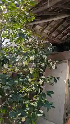 妙傳寺(妙伝寺)(京都府)