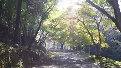 吉野神宮(奈良県)