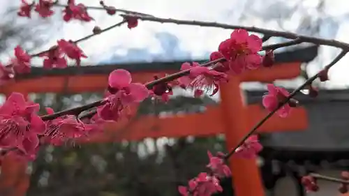 賀茂御祖神社（下鴨神社）(京都府)