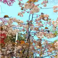 彌彦神社 (伊夜日子神社)の自然