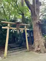 祓戸神社(新潟県)