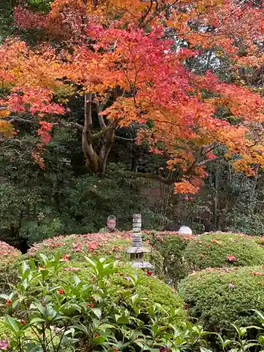 詩仙堂（丈山寺）の自然
