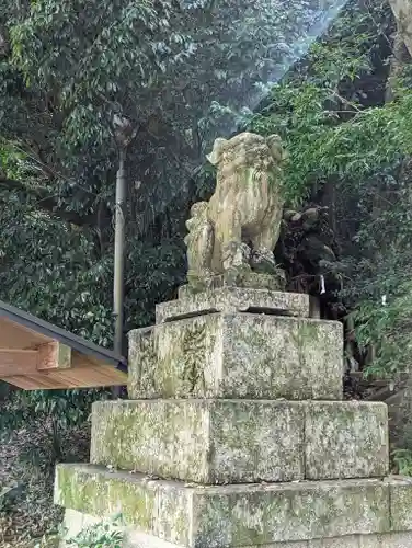 高良神社の狛犬