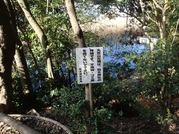 丸笠神社(伯太神社飛地境内社)の自然