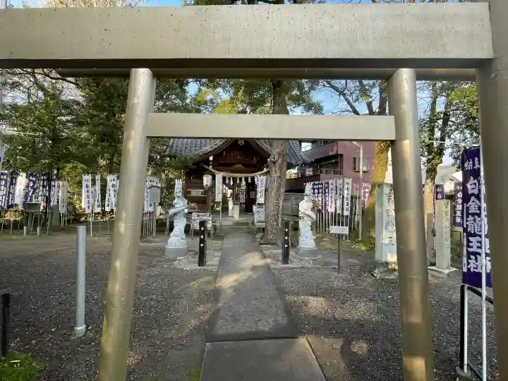 白金龍王社(愛知県)