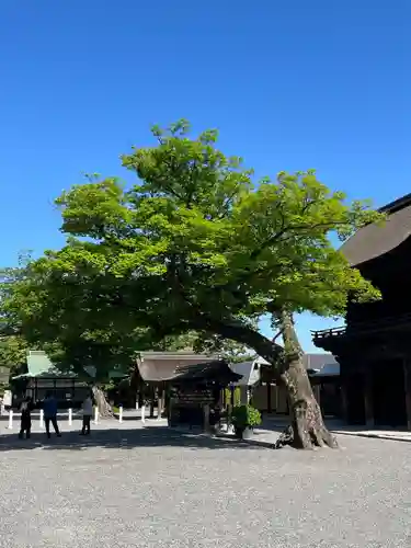 尾張大國霊神社（国府宮）(愛知県)