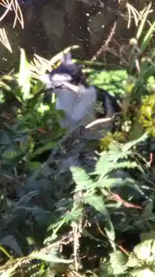 泉野菅原神社(石川県)