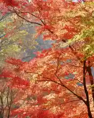 早馬神社の景色