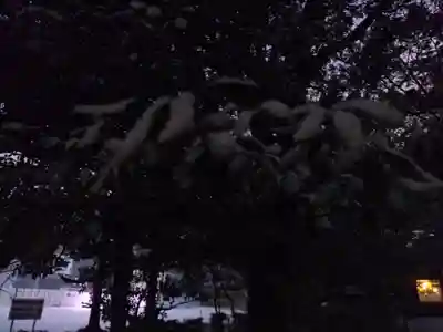 速谷神社(広島県)