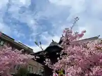 桜神宮(東京都)