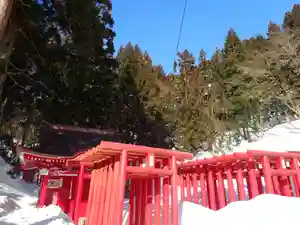 白狐山光星寺の鳥居 2022年02月20日(日)〜(2022年02月20日(日) 10時39分31秒投稿)