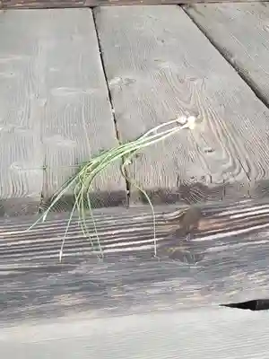兼宮神社(群馬県)