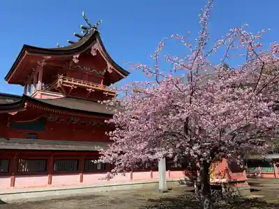 富士山本宮浅間大社(静岡県)
