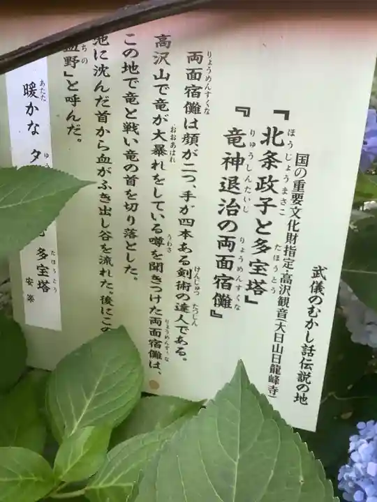 日龍峯寺(高澤観音)(美濃清水)(岐阜県)