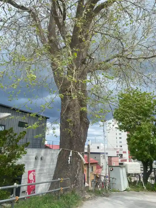 龍宮神社(北海道)