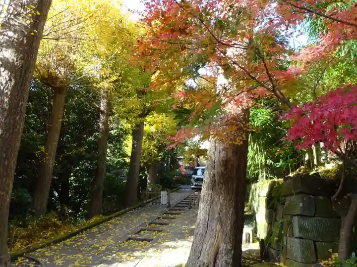 黄梅院(円覚寺塔頭)の自然