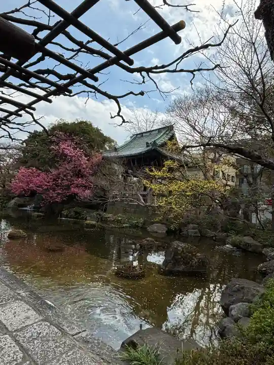 西新井大師総持寺の{uncategorized: "未分類", other: "その他", undefined: "問題あり", building: "その他建物", grave: "お墓", sacred_gate: "鳥居", guardian: "狛犬", statue: "像", buddha: "仏像", history: "歴史", nature: "自然", garden: "庭園", animal: "動物", pagoda: "塔", temizu: "手水舎", mountain_gate: "山門・神門", sanctuary: "本殿・本堂", subordinate: "末社・摂社", art: "芸術", scenery: "景色", jizo: "地蔵", ema: "絵馬", goshuin: "御朱印", omikuji: "おみくじ", items: "授与品その他", amulet: "お守り", goshuincho: "御朱印帳", eats: "食事", festival: "お祭り", votive_dance: "神楽", shichigosan: "七五三参", wedding: "結婚式", experience: "体験その他", initially: "初詣", around: "周辺", anti_infection: "感染症対策"}
