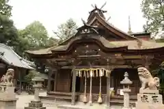 柏原八幡宮の本殿