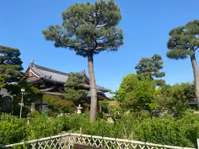 東光院(大阪府)