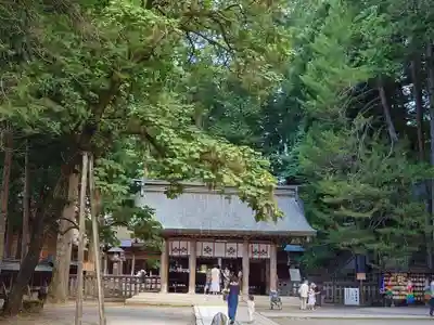 諏訪大社(長野県)