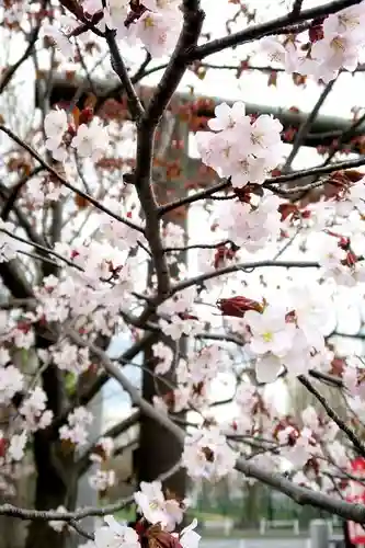 烈々布神社の自然