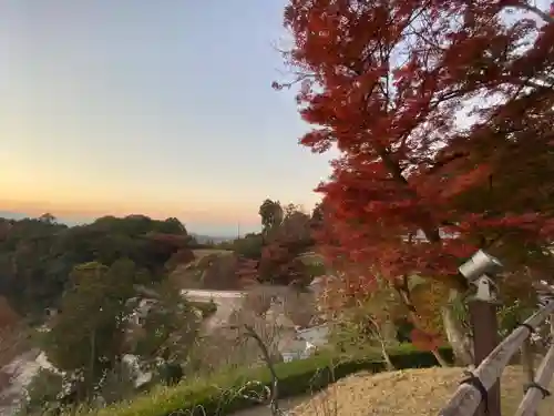 岡寺（龍蓋寺）の景色