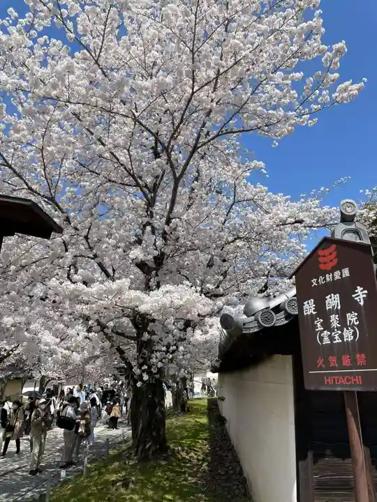 宝聚院(京都府)