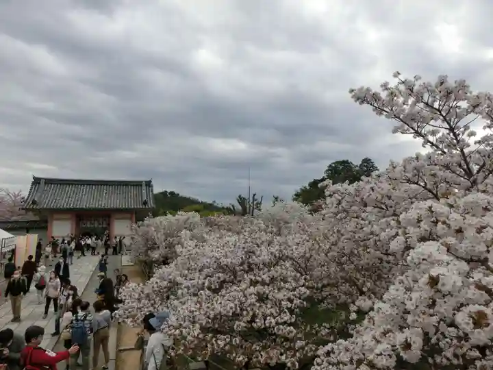 仁和寺のその他建物
