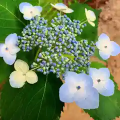 滑川神社 - 仕事と子どもの守り神の自然