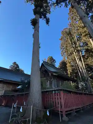 櫛引八幡宮(青森県)