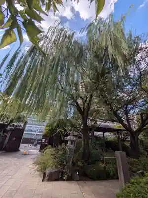 龍眼寺(萩寺)(東京都)