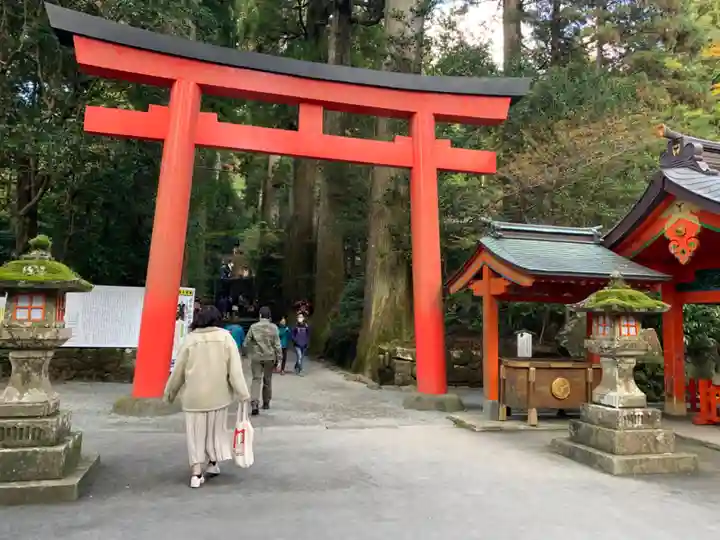 箱根神社の鳥居
