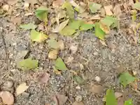 水天宮(愛媛県)