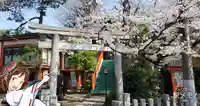 於玉稲荷神社の鳥居