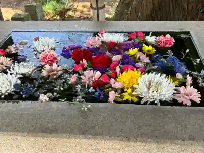 糀谷八幡宮の{uncategorized: "未分類", other: "その他", undefined: "問題あり", building: "その他建物", grave: "お墓", sacred_gate: "鳥居", guardian: "狛犬", statue: "像", buddha: "仏像", history: "歴史", nature: "自然", garden: "庭園", animal: "動物", pagoda: "塔", temizu: "手水舎", mountain_gate: "山門・神門", sanctuary: "本殿・本堂", subordinate: "末社・摂社", art: "芸術", scenery: "景色", jizo: "地蔵", ema: "絵馬", goshuin: "御朱印", omikuji: "おみくじ", items: "授与品その他", amulet: "お守り", goshuincho: "御朱印帳", eats: "食事", festival: "お祭り", votive_dance: "神楽", shichigosan: "七五三参", wedding: "結婚式", experience: "体験その他", initially: "初詣", around: "周辺", anti_infection: "感染症対策"}