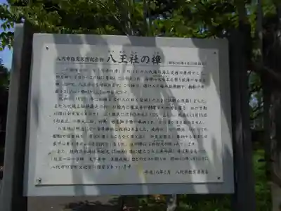 浅井神社の歴史