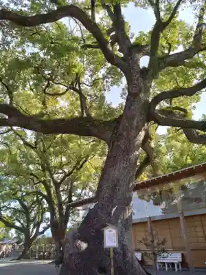 北岡神社(熊本県)