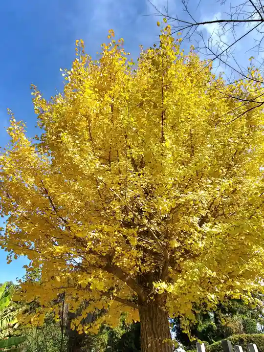 上合寺(福島県)