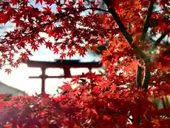 生島足島神社(長野県)