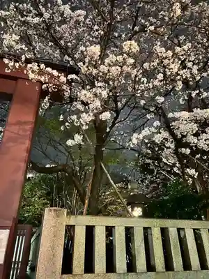 御霊神社(大阪府)