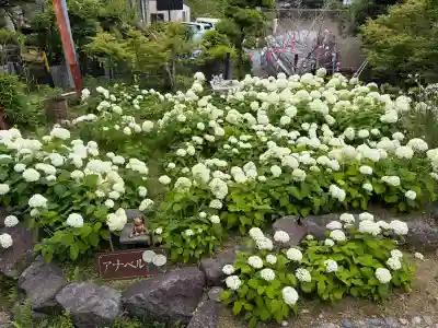 秋葉總本殿可睡斎(静岡県)