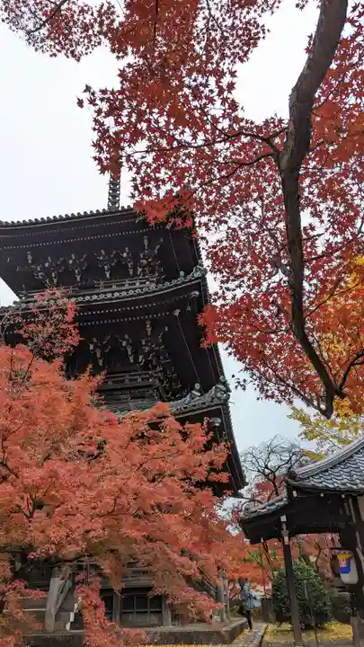 真正極楽寺(真如堂)(京都府)