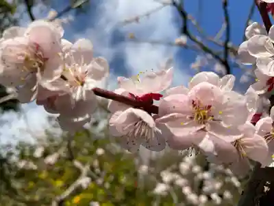 杉本寺(神奈川県)