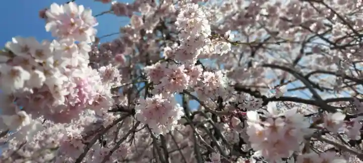 周林寺(山梨県)